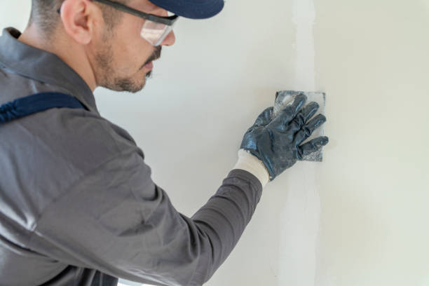 Best Industrial Mold Remediation  in Santaquin, UT