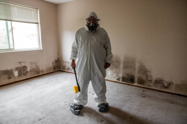 Best HVAC Mold Inspection and Cleaning  in Santaquin, UT