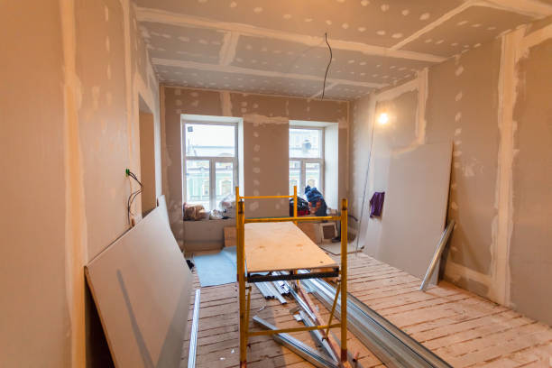 Best Black Mold Removal  in Santaquin, UT